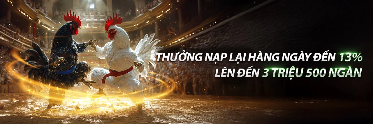 Sòng Bạc Trực Tiếp